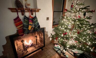 Amazon CEO nails the odd analogy of the week with head-scratching Christmas tree story – GeekWire