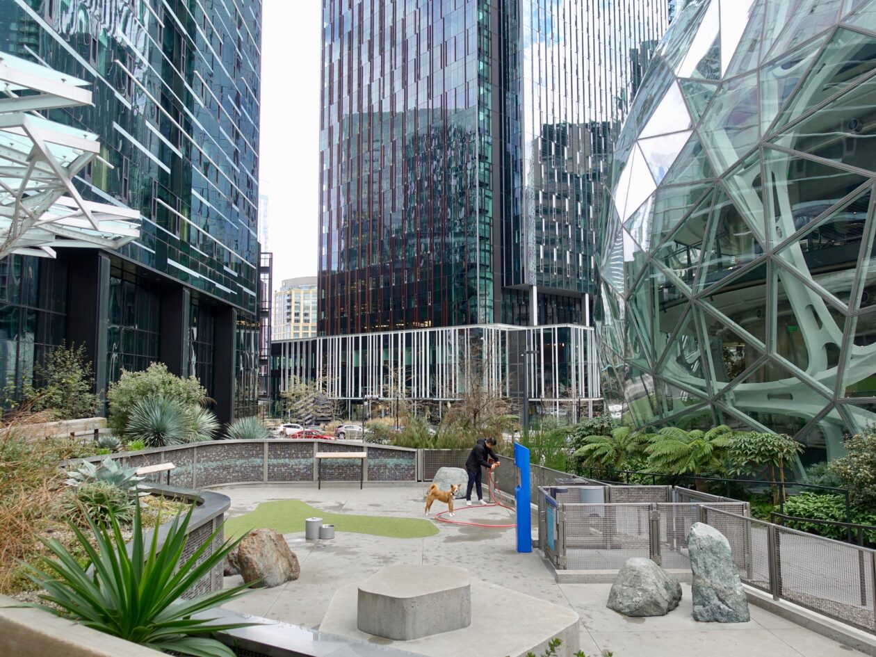 Amazon reportedly set to lay off up to 30,000 corporate employees in massive workforce cut – GeekWire