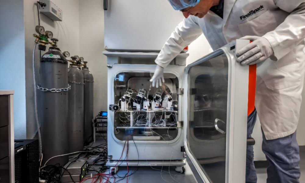 Scientists use human mini-brains to power computers