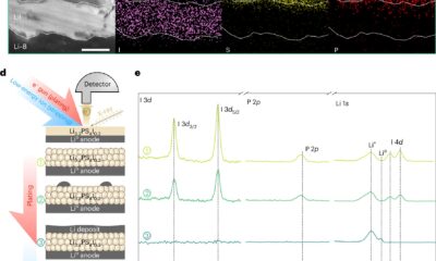 Self-healing layer improves the safety and lifespan of all-solid-state lithium batteries