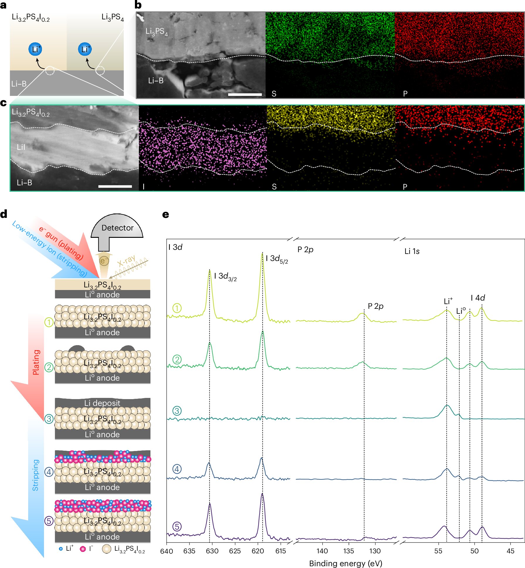 Self-healing layer improves the safety and lifespan of all-solid-state lithium batteries