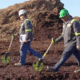 When dirt meets data: ScottsMiracle-Gro saved $150M using AI