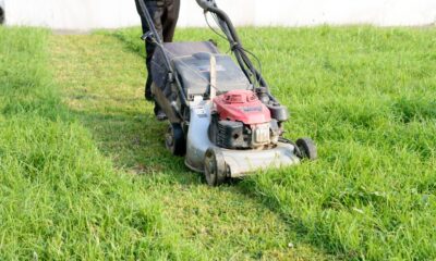 landscaping business marketing