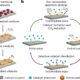 Turning pollution into clean fuel with stable methane production from carbon dioxide