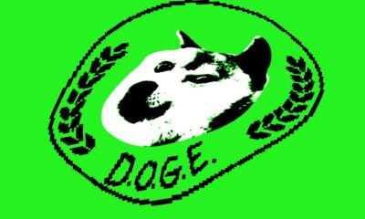 DOGE might be storing every American’s SSN on an insecure cloud server