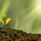 scaling a startup