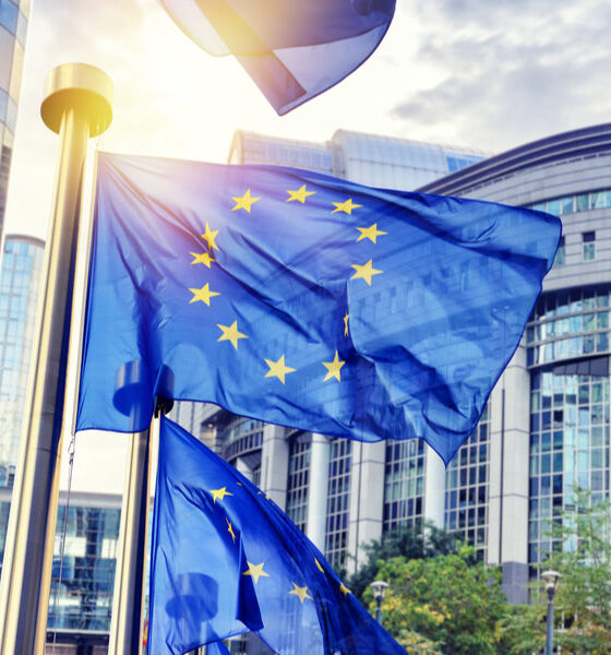 EU Flag Waving Outside European Parliament
