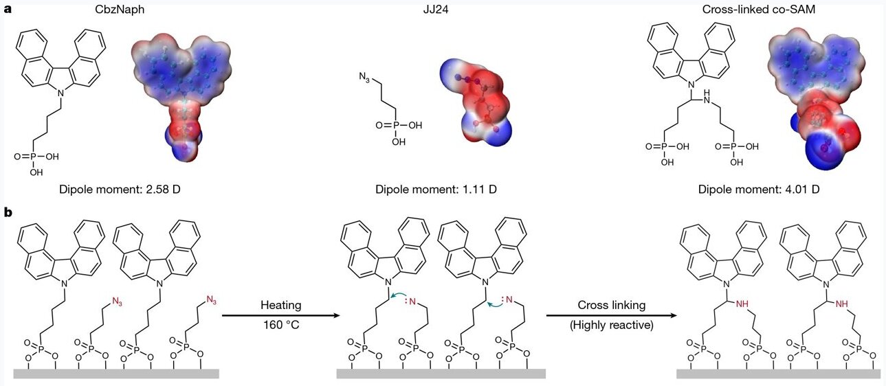 Universal in-situ cross-linking strategy enhances stability of inverted perovskite solar cells