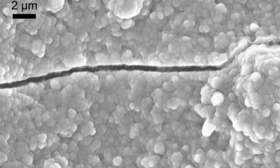 PFAS-free membrane with nanoscopic plugs enables cleaner, cheaper hydrogen production