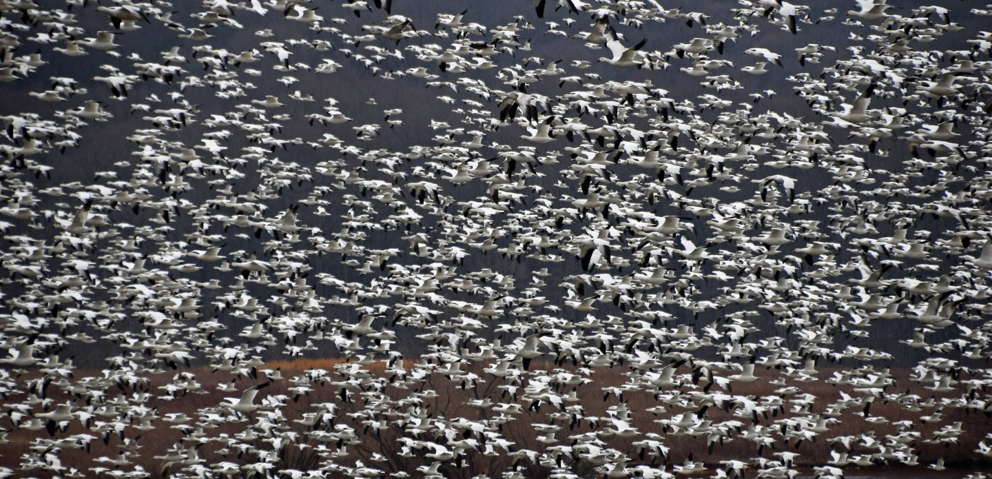 Quantitative finance professionals not clued-in when it comes to AI