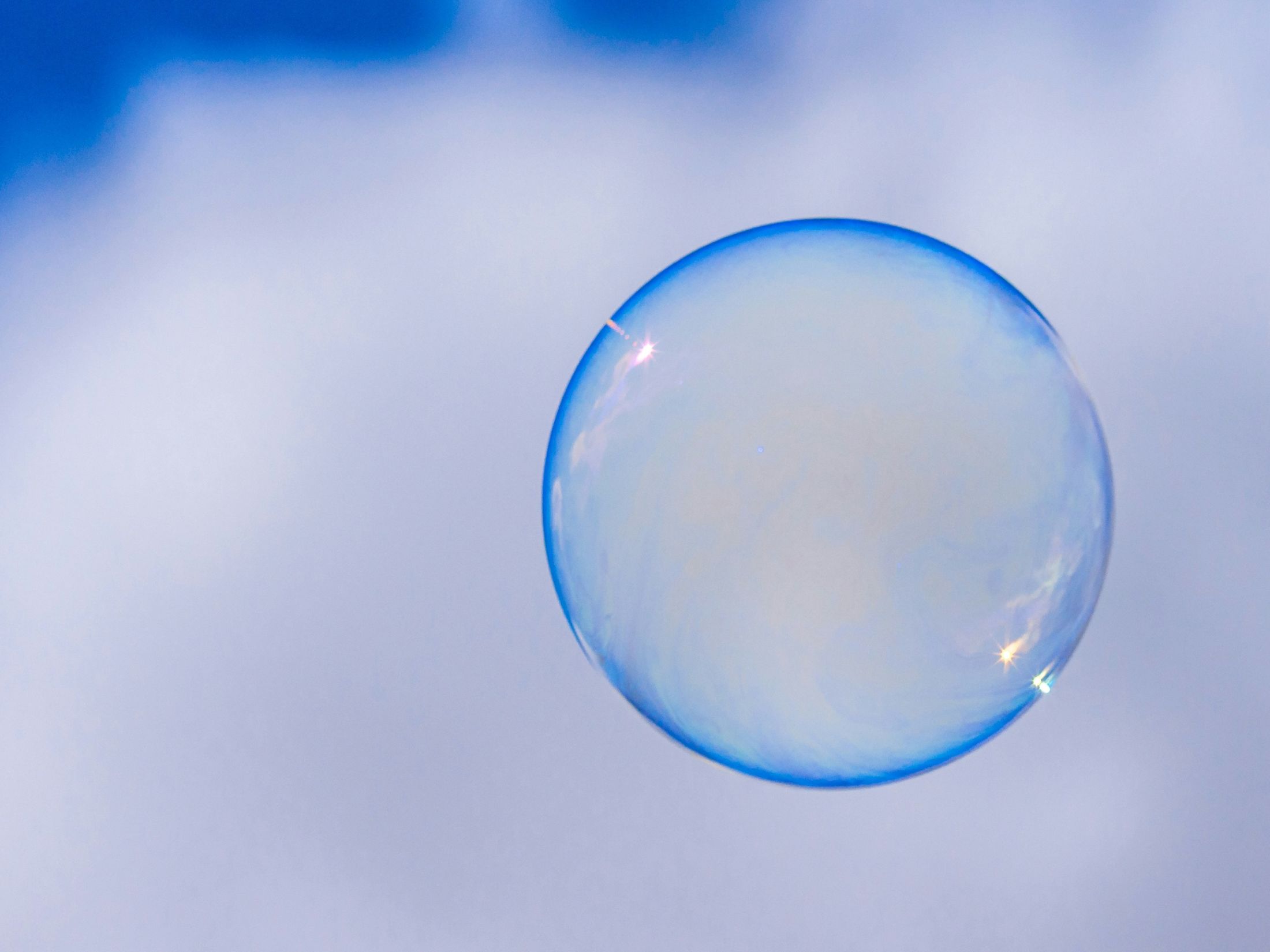 Is AI in a bubble? Succeed despite a market correction