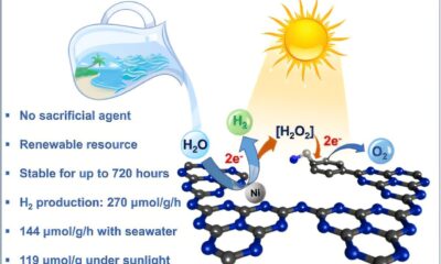 New pathways to green hydrogen use seawater without additional reagents