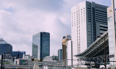 real estate development