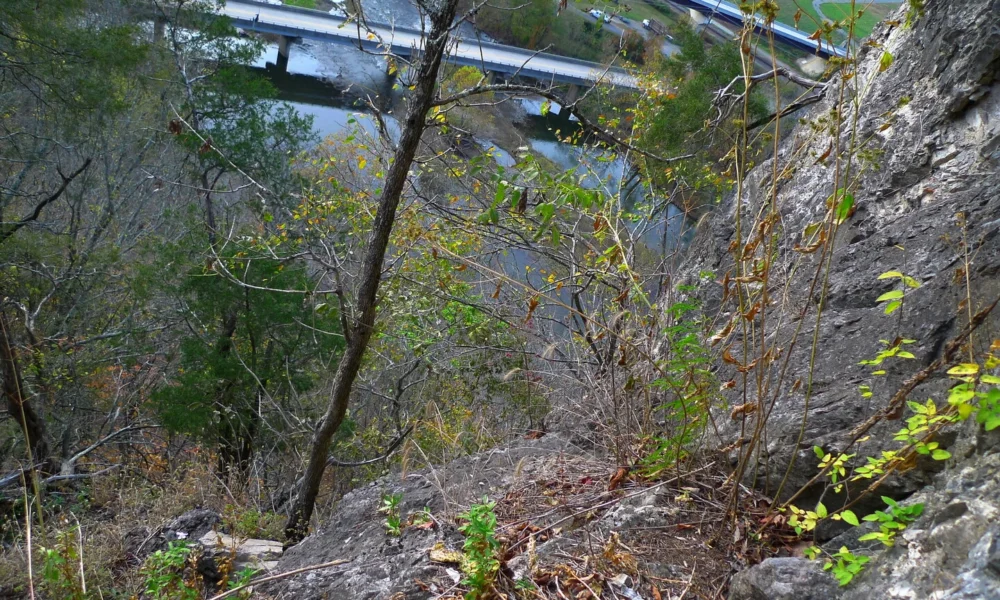 50,000 Copilot licences for Indian service companies