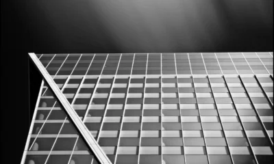 Optimism for AI-powered productivity: Deloitte