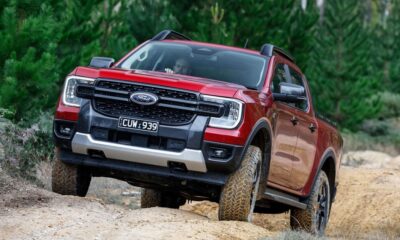 Who bought electrified cars in 2025, and who stuck with petrol and diesel?