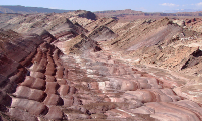 Banks operationalise as Plumery AI launches standardised integration