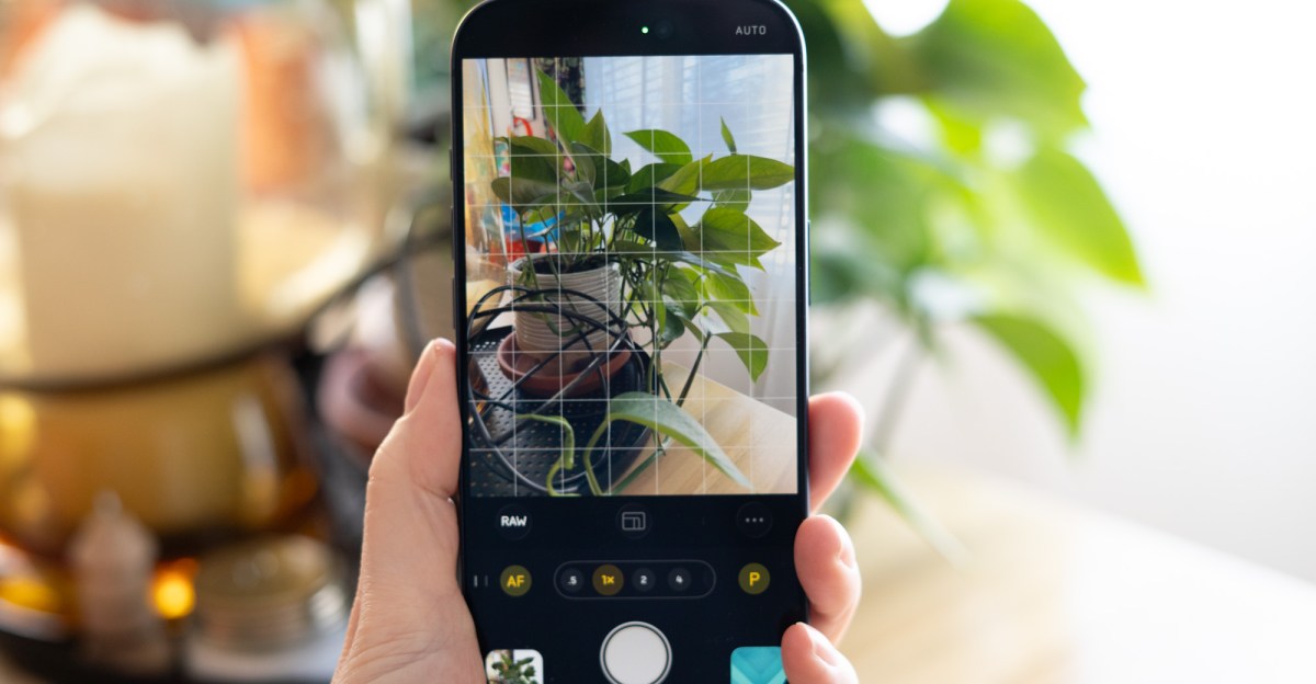 Process Zero is even better with a little processing on the side