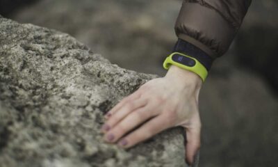 fitbit green pixabay