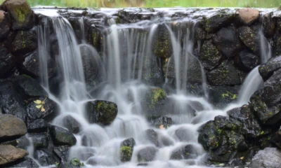 Poor implementation of AI may be behind workforce reduction