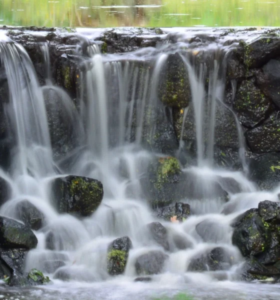 Poor implementation of AI may be behind workforce reduction