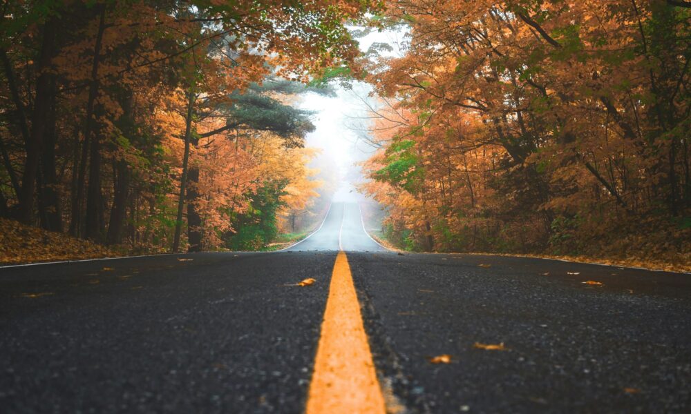 SS&C Blue Prism: On the journey from RPA to agentic automation