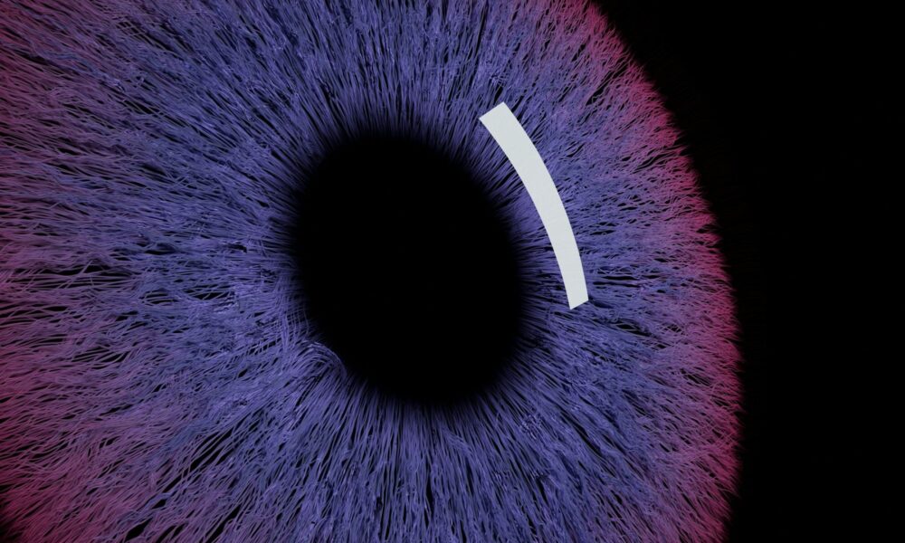 Family offices turn to AI for financial data insights