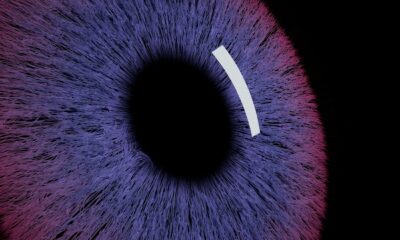 Family offices turn to AI for financial data insights