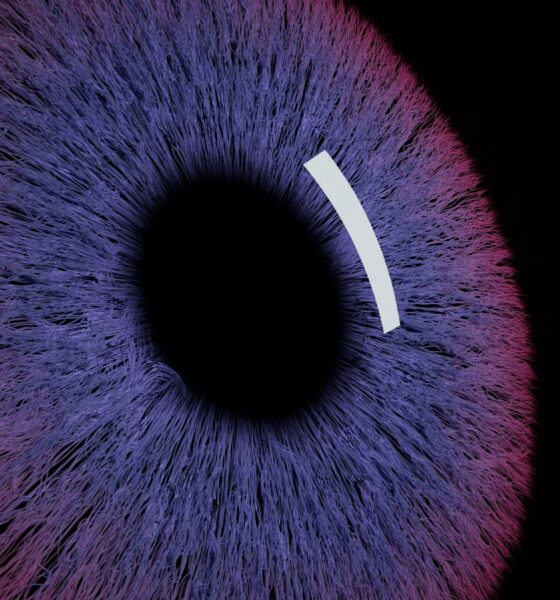 Family offices turn to AI for financial data insights