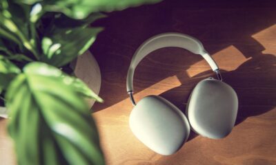 silver AirPods Max on desk in sunlight with plant