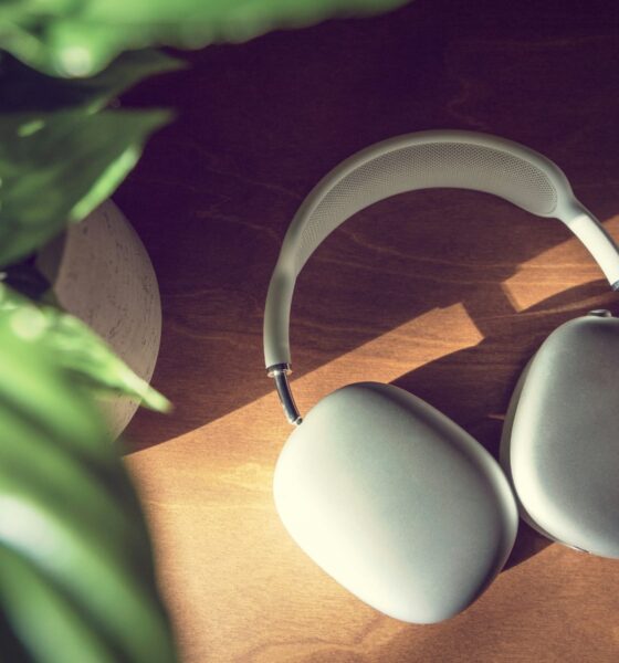 silver AirPods Max on desk in sunlight with plant