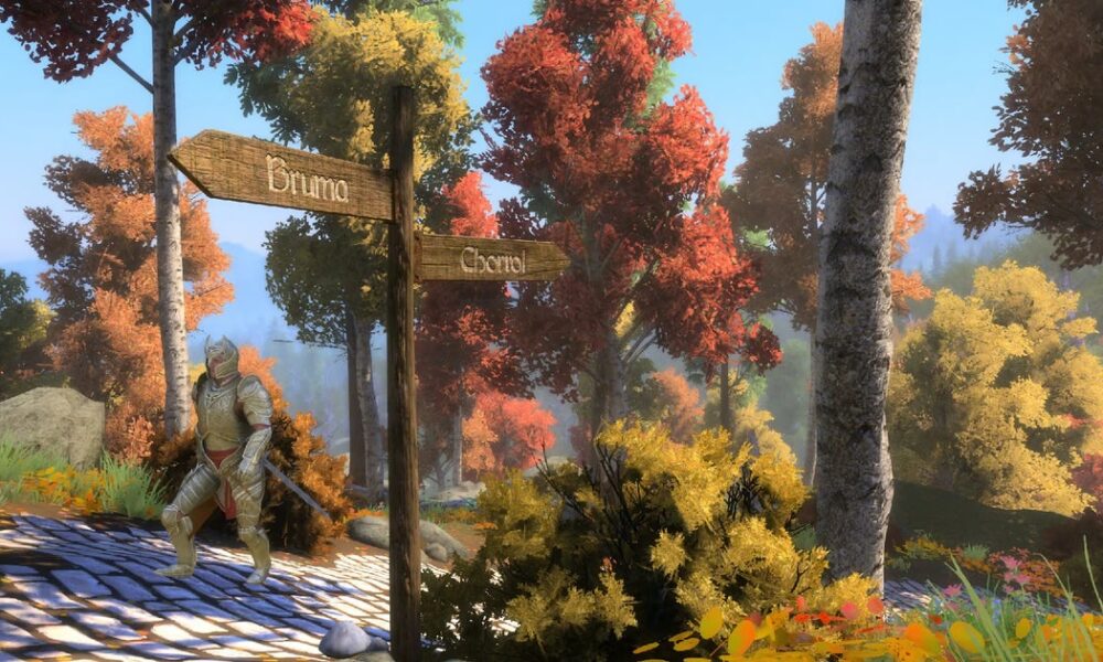 Skyblivion project lead says the massive Oblivion remake mod is "in a great place" during its first proper showcase of 2026