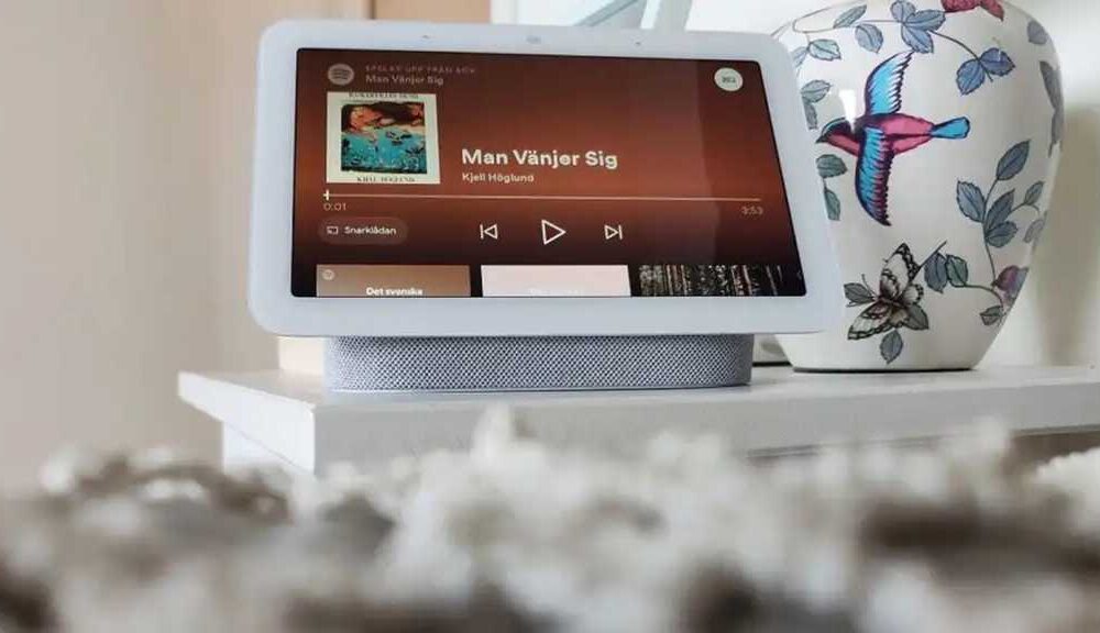 google nest hub 2021