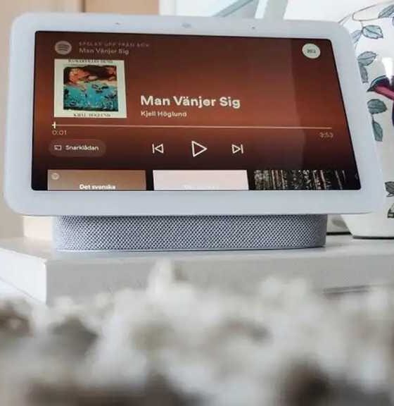 google nest hub 2021