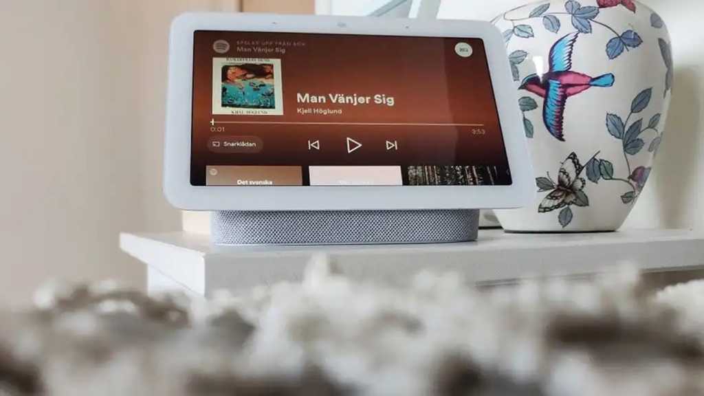 google nest hub 2021