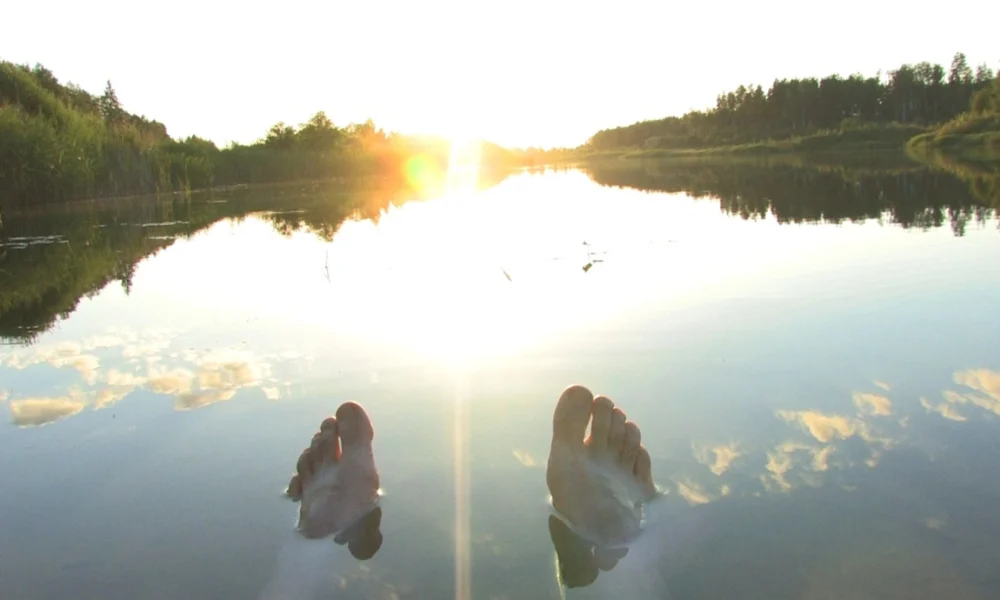 AI workflows for software developers and the need for oversight