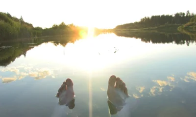 AI workflows for software developers and the need for oversight