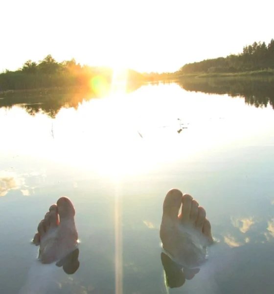 AI workflows for software developers and the need for oversight