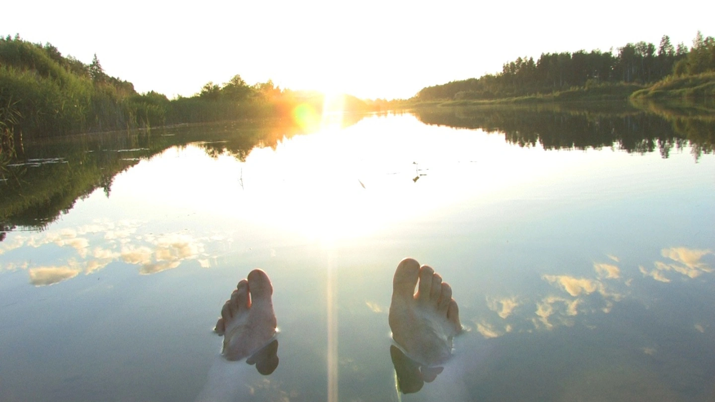 AI workflows for software developers and the need for oversight