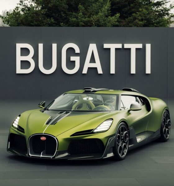 1-bugatti-solitaire-quail