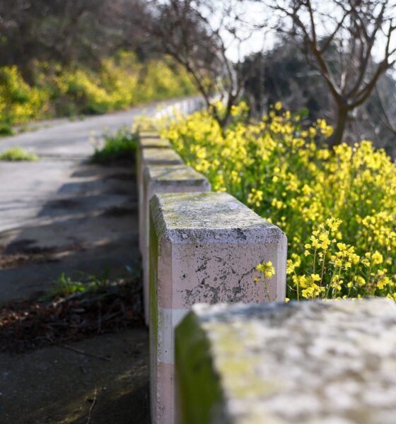 Asylon and Thrive Logic bring physical AI to enterprise perimeter security