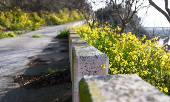 Asylon and Thrive Logic bring physical AI to enterprise perimeter security