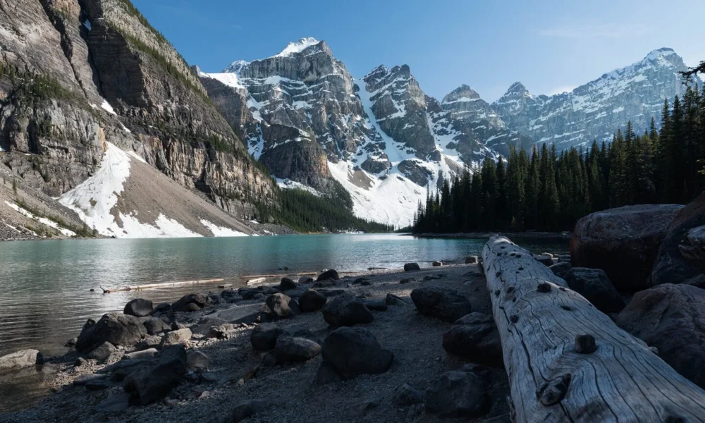 Canada's Scotiabank preps for its AI future