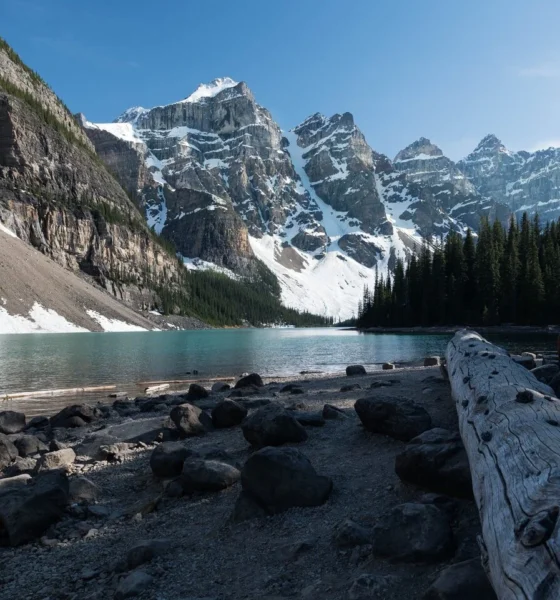 Canada's Scotiabank preps for its AI future