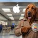 Apple Crime Dog Standing Outside Apple Store wearing a trench coat and a 'Tech a Bite out of Tech Crime' badge.