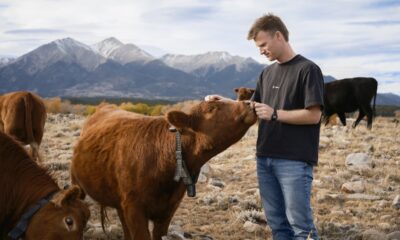Peter Thiel's big bet on solar-powered cow collars