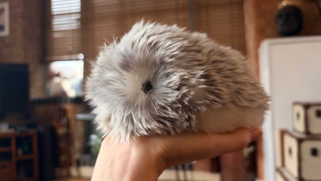 Moflin seated on an open palm