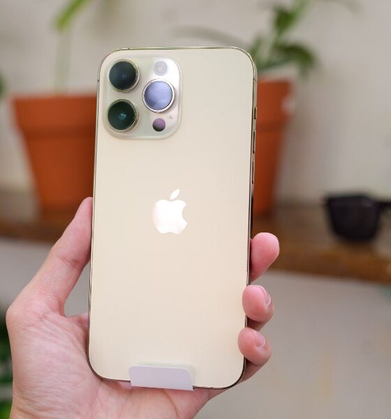 person holding iPhone 14 Pro Max