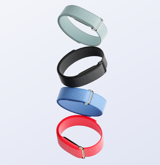 Fitbit Air