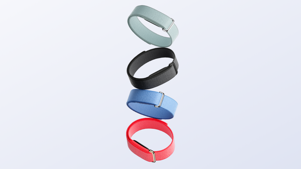 Fitbit Air
